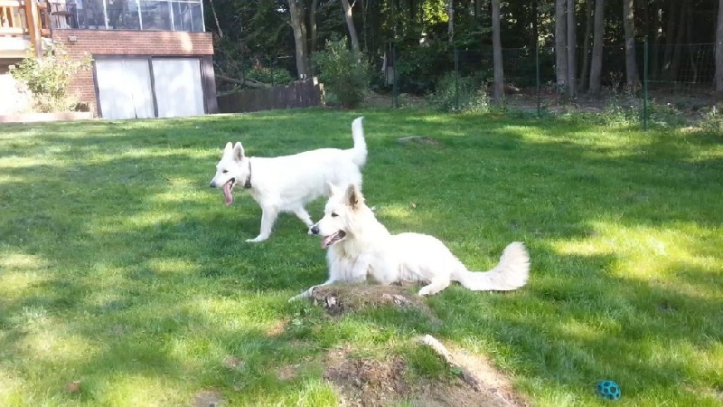 dans le jardin