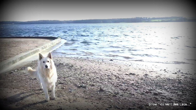 Snow ( 2 ans ) aux Lacs de l'Eau d'Heure 30/12/2015